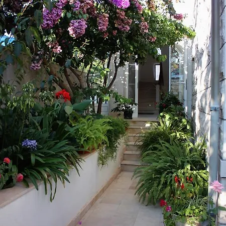 Puntinak 718d Apartamento *